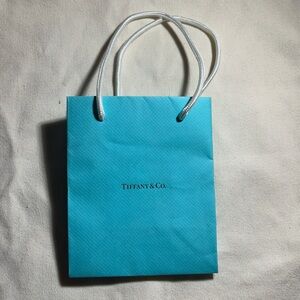 Mini Tiffany & Co bag